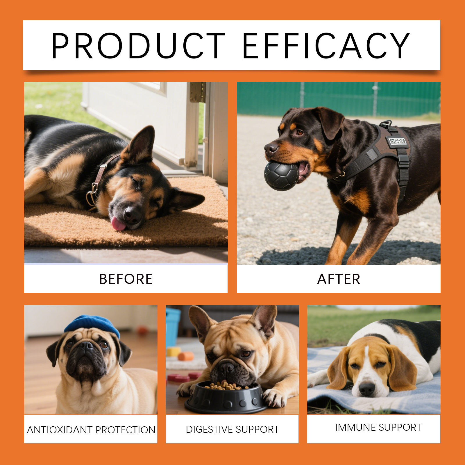 Dog Herbal Drops - Irresistibl - Herbal Holistic Wellness 评论和价格