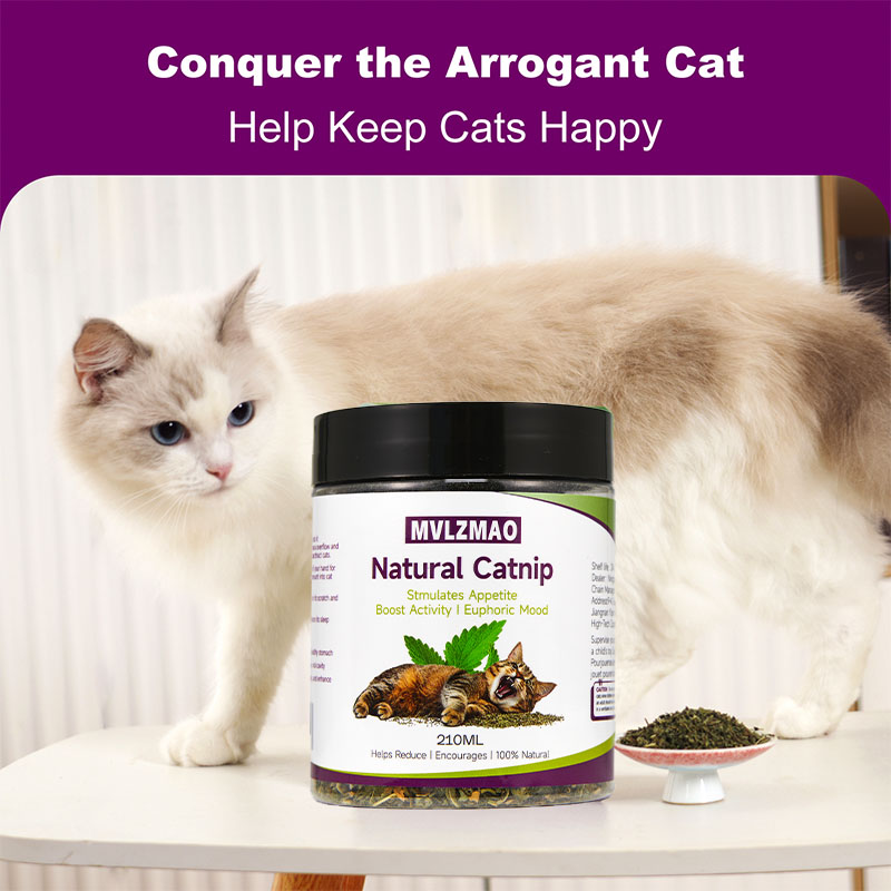 Cat Toys - Silvervine Catnip f - Herbal Wellness Blend 评论和价格