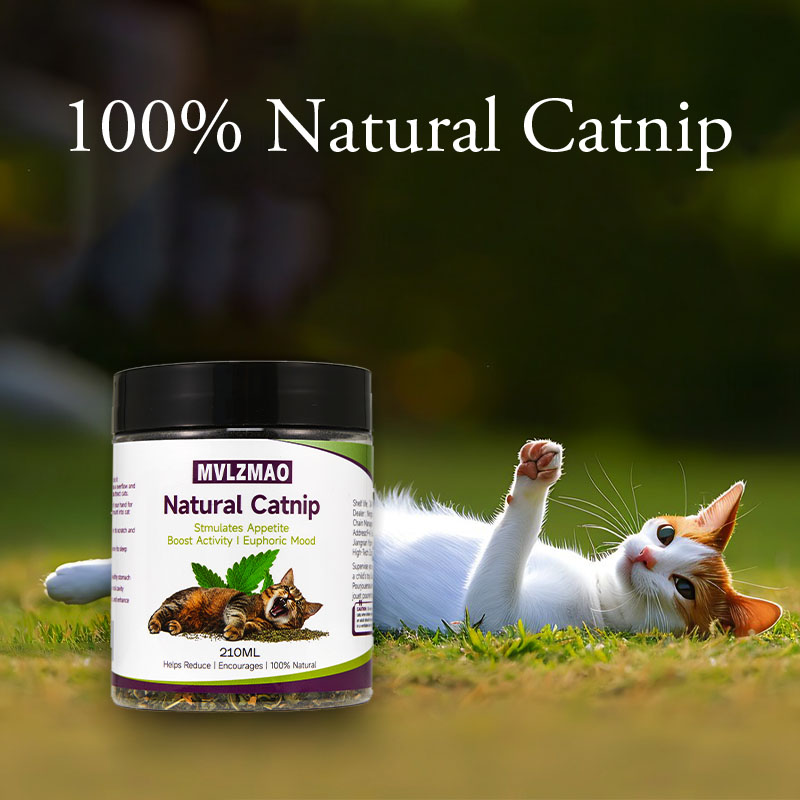 Cat Toys - Silvervine Catnip f - Herbal Wellness Blend 评论和价格