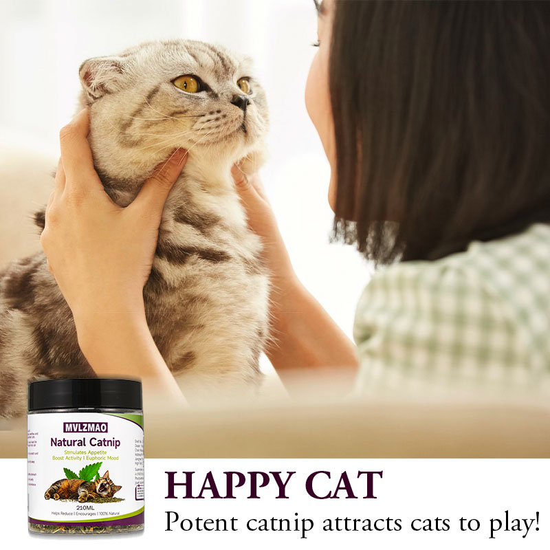 Cat Toys - Silvervine Catnip f - Herbal Wellness Blend 评论和价格