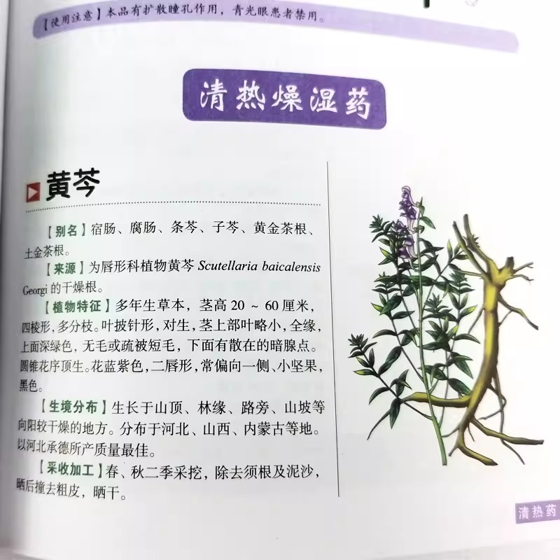 The Ancient Herbarium Holistic - Herbal Holistic Wellness 评论和价格