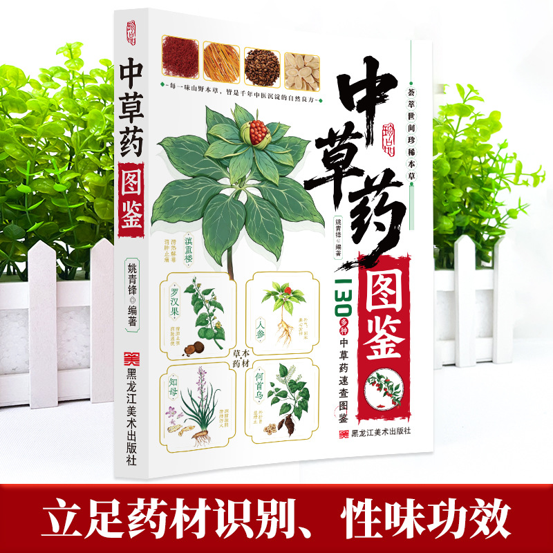 Illustrated Guide  Chinese Her - Herbal Holistic Wellness 评论和价格