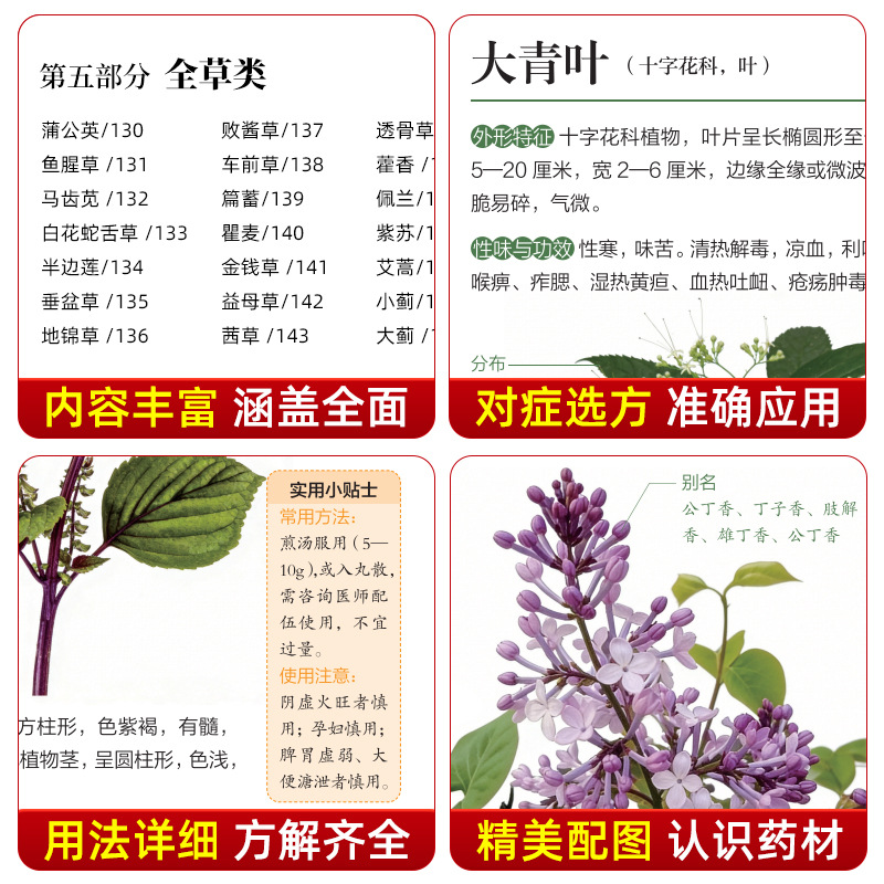 Illustrated Guide  Chinese Her - Herbal Holistic Wellness 评论和价格